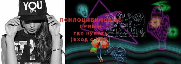 ПСИЛОЦИБИНОВЫЕ ГРИБЫ Вязьма