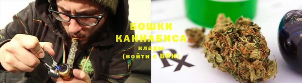 ПСИЛОЦИБИНОВЫЕ ГРИБЫ Вязьма