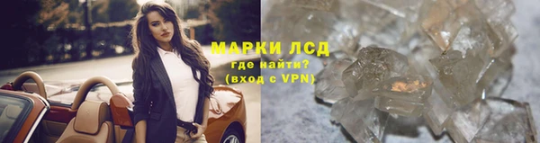 ПСИЛОЦИБИНОВЫЕ ГРИБЫ Вязьма