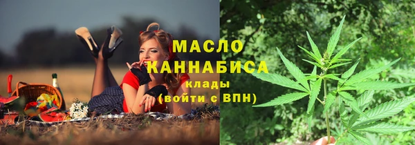 тгк Вяземский
