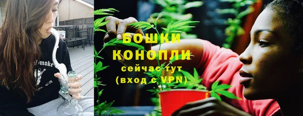 ПСИЛОЦИБИНОВЫЕ ГРИБЫ Вязьма