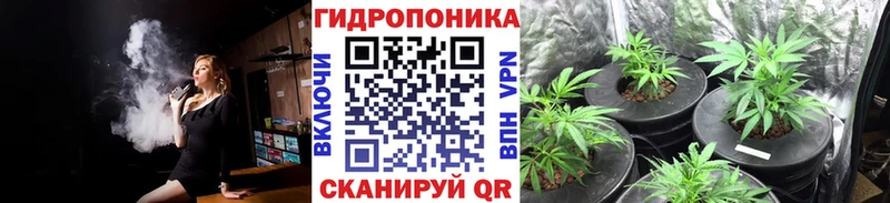 Конопля марихуана  дарнет шоп  Мурино 